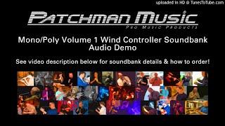 Patchman Music Mono/Poly Volume 1 Soundbank Demo