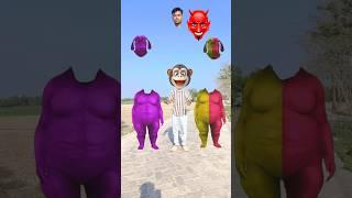 Purple fatty dog & yellow dog vs cute brother head matching funny video with tu radha meri song 