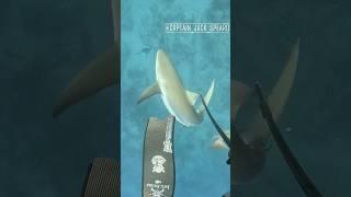 That Was A Close One! #fishing #spearfishing #shark