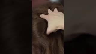 Hairjob - Hairpull || Brunette Blow Dry || Thick Hairplay - ITHT