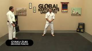 Journey to Black Belt with Charles - 9th Kyu White - Test Preparation - Class 5