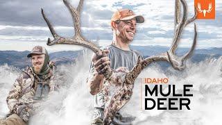 Idaho Mule Deer | MeatEater Season 12