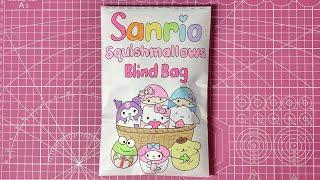 sanrio squishmallows blind bag  tutorial | ASMR | sanriolve