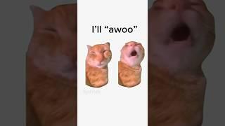 ÆoOoOOo