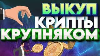 Криптовалюта: Как происходит выкуп и где мы сейчас.