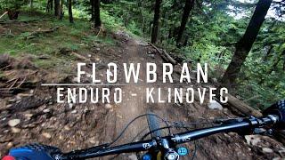 Dunkelwald & Nemecka Trail | Trailpark Klínovec