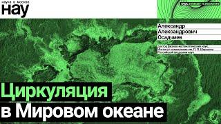 «Циркуляция в Мировом океане». Спикер: Александр Александрович Осадчиев