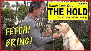 Teach Your Dog to Retrieve part 1 - the HOLD - the BASICS to FETCH or BRING - Dog Training Video