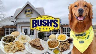 Bush's Family Cafe Review & Store Dandridge Tennessee