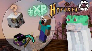 Ich heirate Derpy...  Hypixel Skyblock Ironman 1 