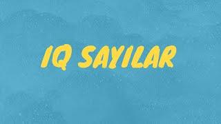 IQ  SAYI DİZİLERİ