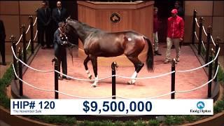 The November Sale (2017): SONGBIRD sells for $9.5M