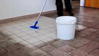 TILE CLEANER - How To Clean + Tips