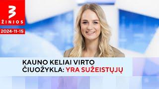 „Teltonika” stabdo technologijų parko statybas su 6 tūkst. darbo vietų / TV3 Žinios