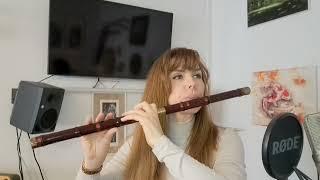 Chinese Flute DiZi in C playing the TAIWAN ISLAND #chinese #dizi #flutemusic #fluteplayer