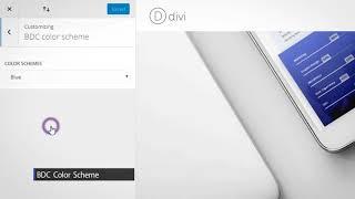 How to change "Business Pro" Divi Child Theme Color Scheme!