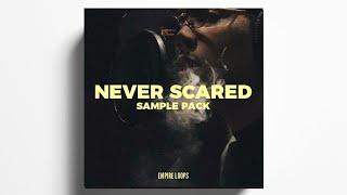 FREE VINTAGE SAMPLE CHOPS PACK - "NEVER SCARED" (G HERBO, MEEK MILL RICK ROSS LOOPS)