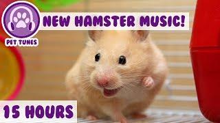 NEW Relax My Hamster! Longest Playlist Yet! How to Calm My Hamster? Soothing Music For Hamsters!