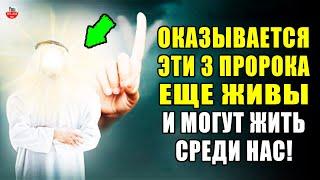 3 ПРОРОКА КОТОРЫЕ ДО СИХ ПОР ЖИВЫ, ГДЕ ОНИ ВЫ ЗНАЛИ О НИХ? ПРОРОКИ ИСЛАМА