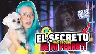  ¿Mi PERRO vio un FANTASMA?  TAG DE LA MASCOTA  | Mari Wolf