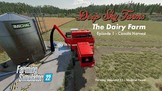 Deep Sky Farms - The Dairy Farm -  Episode 1: Canola Harvest