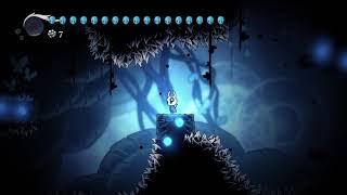 Hollow Knight Blue Door in the Abyss