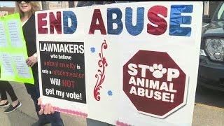 Group asks for bestiality law in Warren after man sentenced for dog abuse