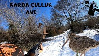 KARDA ÇULLUK AVI (KÖPEKSİZ)-WOODCOCK HUNTİNG-Охота на вальдшнеп