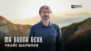 Увайс Шарипов - Ма билла бехк | KAVKAZ MUSIC CHECHNYA