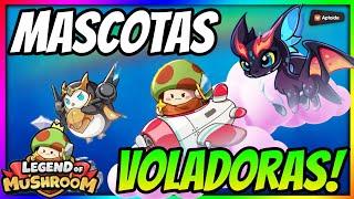 ▶️ LAS MEJORES MASCOTAS VOLADORAS PARA CADA CLASE!!  Legend of Mushroom 