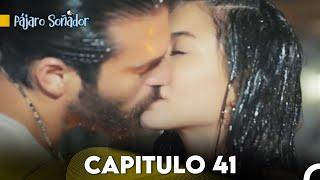 Pájaro soñador - Capitulo 41 (Audio Español) | Erkenci Kuş