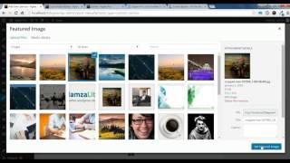 Aglee Pro - How to create Portfolio, Service and feature page section