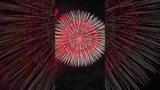 4K Natural New Year's Eve fireworks.跨年烟花。#natural #night #fireworks