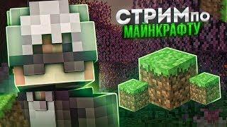 СТРИМ по майнкрафту играем +R0kot