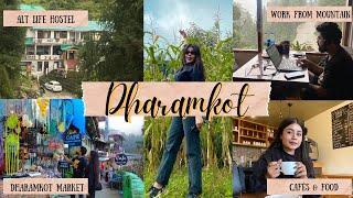 Dharamkot | Israel  Village of Himalayas | Alt Life Hostel | Dharamkot Studio | Culture & Cafés