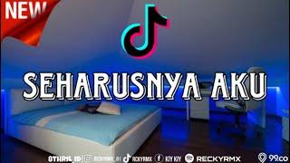 DJ SEHARUSNYA AKU - RCKYRMX