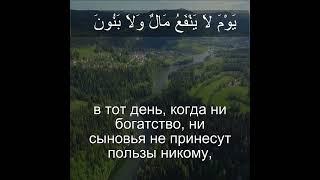 Коран Сура Аль-Шуара | 26:88 | Чтение Корана с русским переводом | Quran Translation #recitequran