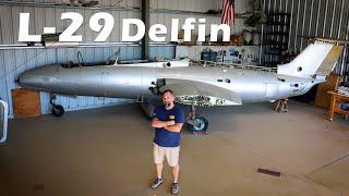 Will this Jet Ever Fly Again?! L-29 Delfin Jet Aircraft