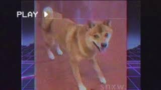 ＳＨＩＢＡ　ＩＮＵ　ＤＡＮＣＩＮＧ　ＩＮ　ＴＨＥ　９０Ｓ