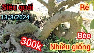 13/8/2024️0385462998 Dụng  giá siêu rẻ luôn có hàng quái quái nhanh tay nha cô chú