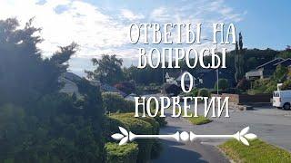 Экономия на душе, родословная,  ведьмы, клещи и летние отпуска.