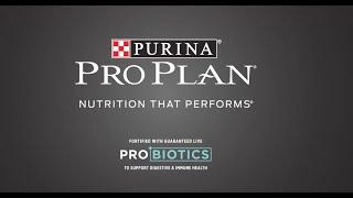 Benefits of Probiotics for Dogs and Cats by Purina Pro Plan