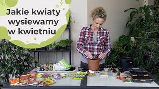 Jakie kwiaty wysiewamy w kwietniu?