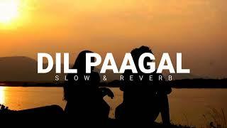 DIL PAAGAL - LAQSHAY KAPOOR [ Slow and Reverb ]
