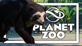 Spectacled Bears | Planet Zoo #3