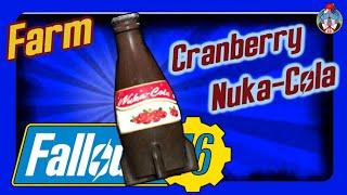 22 Nuka Cola Cranberry Locations in Fallout 76! Full Farming Guide with Route!