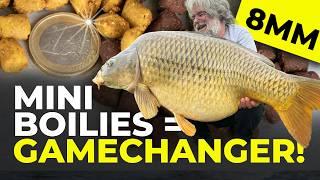 "Damit habe ich Paylakes auf links gedreht!" Cockticles – ultra-fängige Mini Boilies vorgestellt!