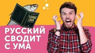 СТРАДАНИЯ ИНОСТРАНЦА:  почему русский язык такой сложный?