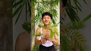 Kalo makan sayur baru boleh #shortsvideo