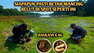 SIAPAPUN PASTI BETAH MANCING BELUT DI TEMPAT SEPERTI INI